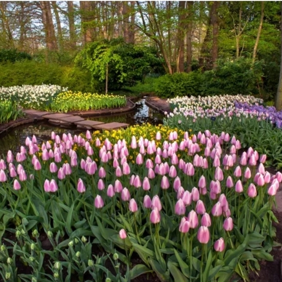 Meet your Posher, E - Picture 1 of 2